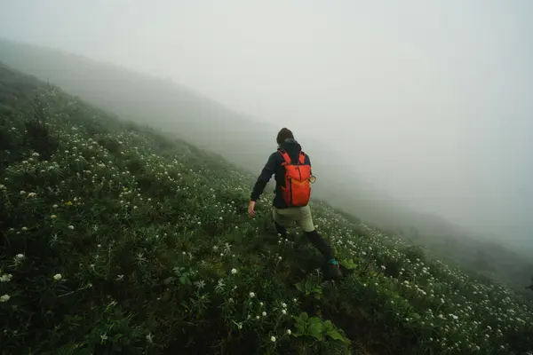 Our Magical European Adventure 4